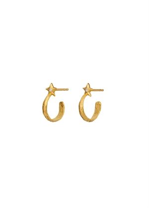 Winona petite earrings Forgyldt Maanesten